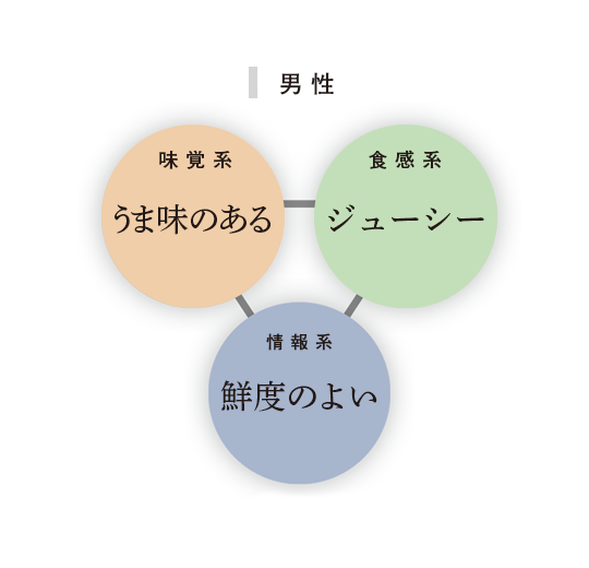 シズルワード3分野 男性